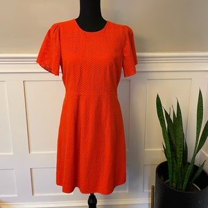 Orange JCrew eyelet dress